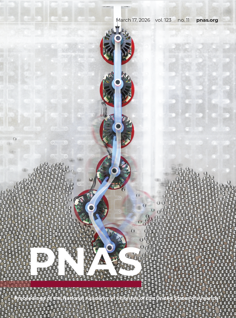 Nonreciprocal buckling research featured in PNAS
