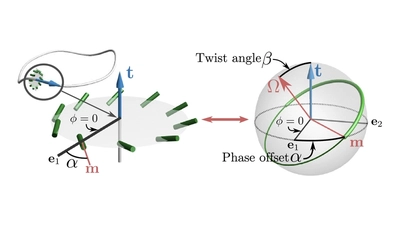 Flows of active liquid crystals featured image