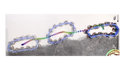 Locomotion of active metamaterials featured image