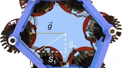 Odd elasticity featured image