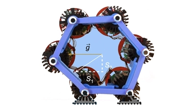Odd elasticity featured image