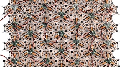 Synchronization of active solids featured image