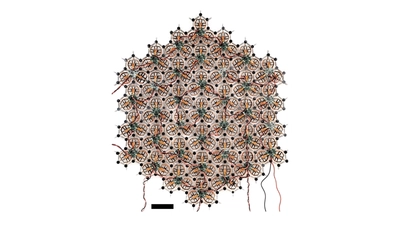 Synchronization of active solids featured image