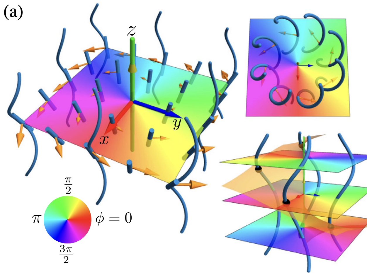 Topological defect dynamics in soft matter | BinyshLab