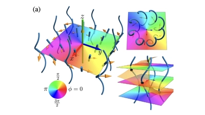 Topological defect dynamics in soft matter featured image